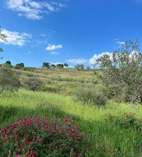 Casa Country Casa vacanze